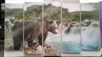 Модульная картина из 5 модулей