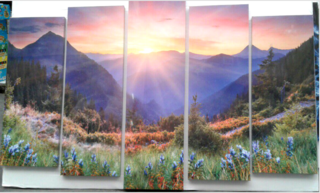 Модульная картина из 5 модулей